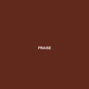 Read more about the article PRAISE