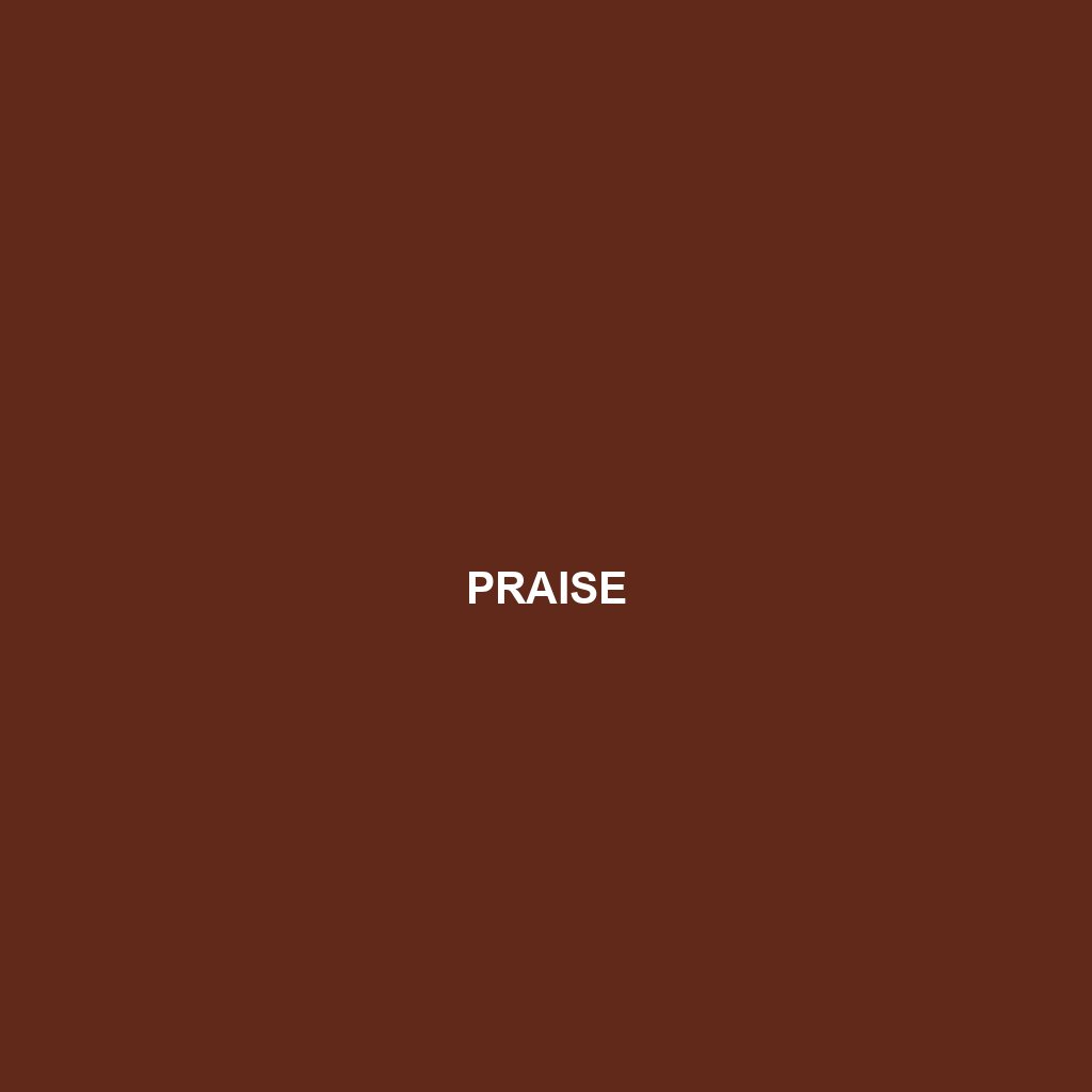 PRAISE