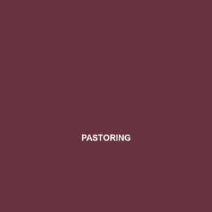 Read more about the article PASTORING