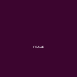 Read more about the article PEACE