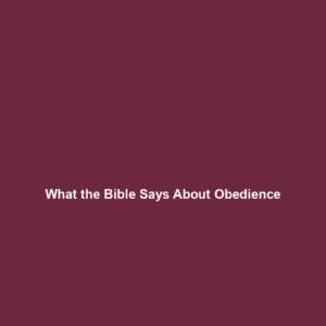 Read more about the article What the Bible Says About Obedience