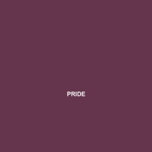 Read more about the article PRIDE