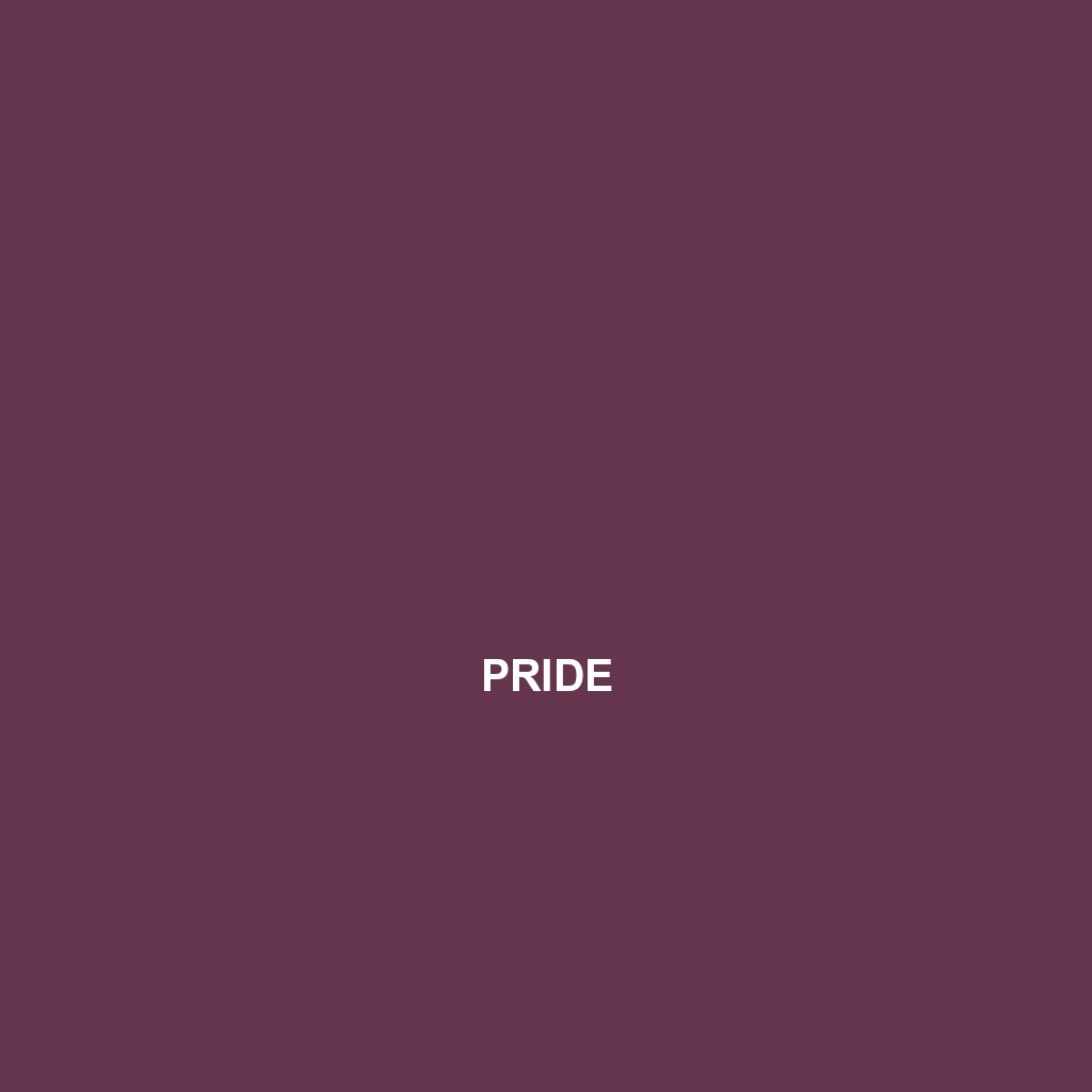PRIDE