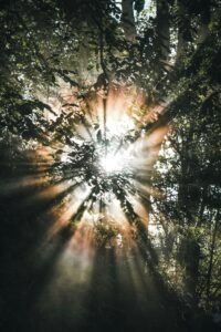 Read more about the article CLAIMS