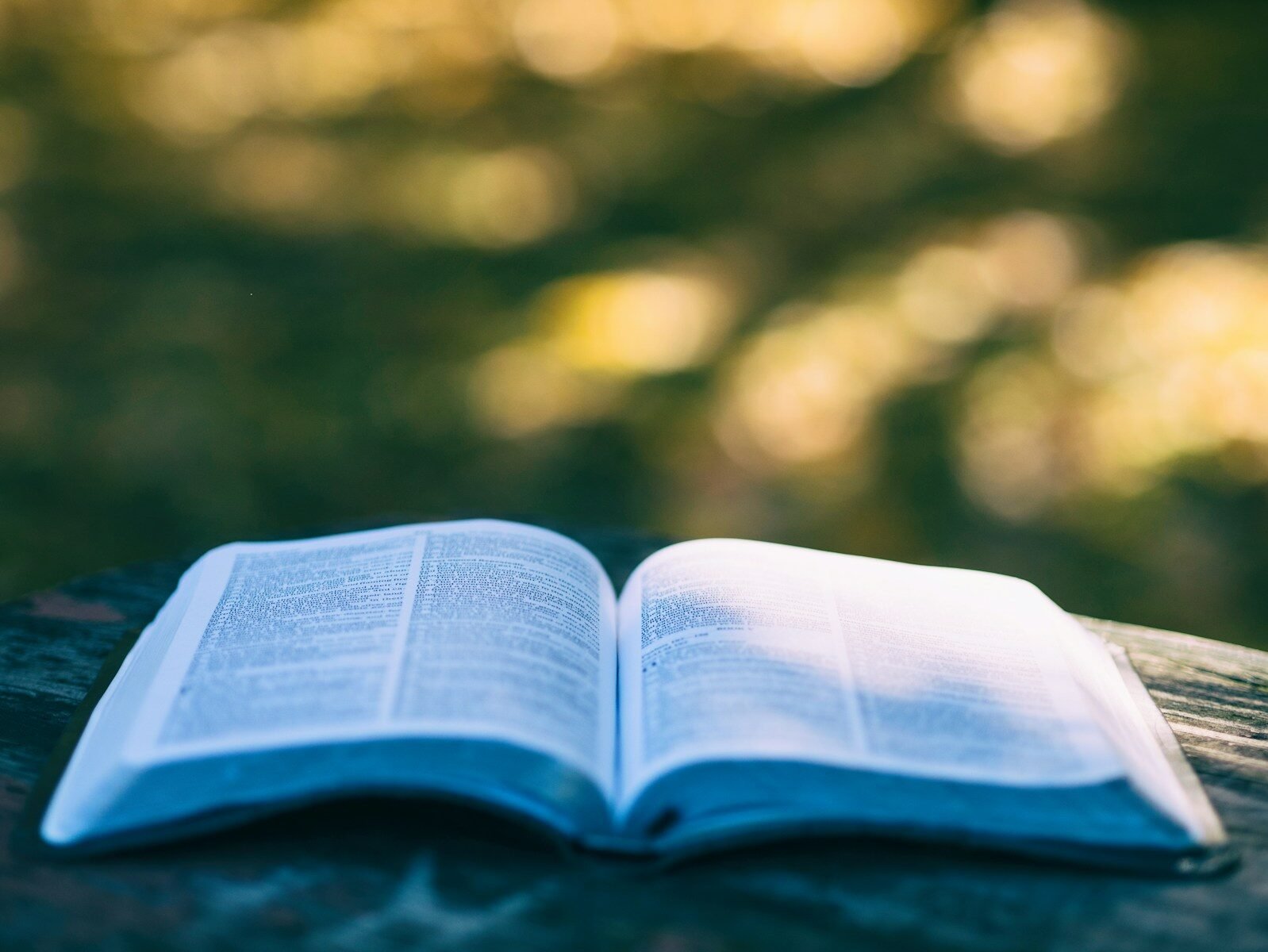 You are currently viewing Faith and Obedience in the Christian Life